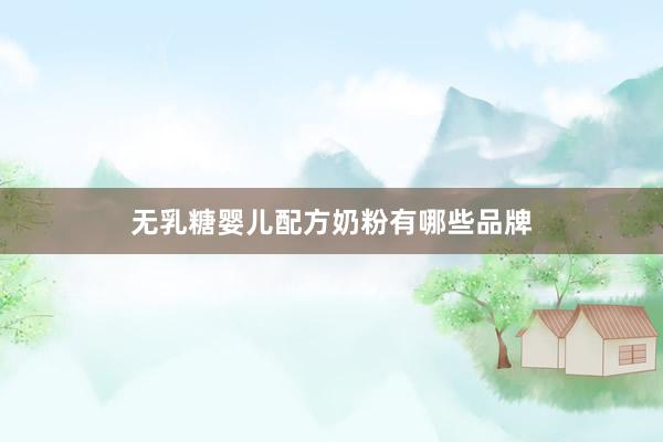 无乳糖婴儿配方奶粉有哪些品牌