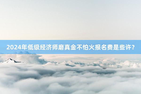 2024年低级经济师磨真金不怕火报名费是些许？