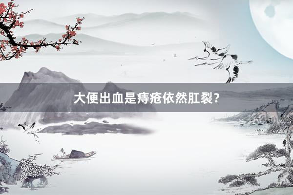 大便出血是痔疮依然肛裂？