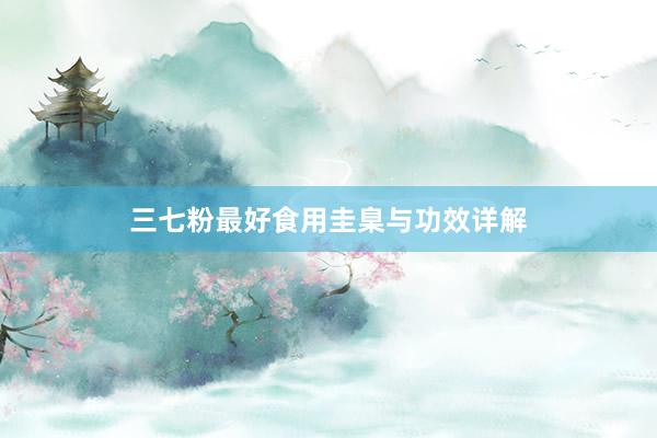 三七粉最好食用圭臬与功效详解